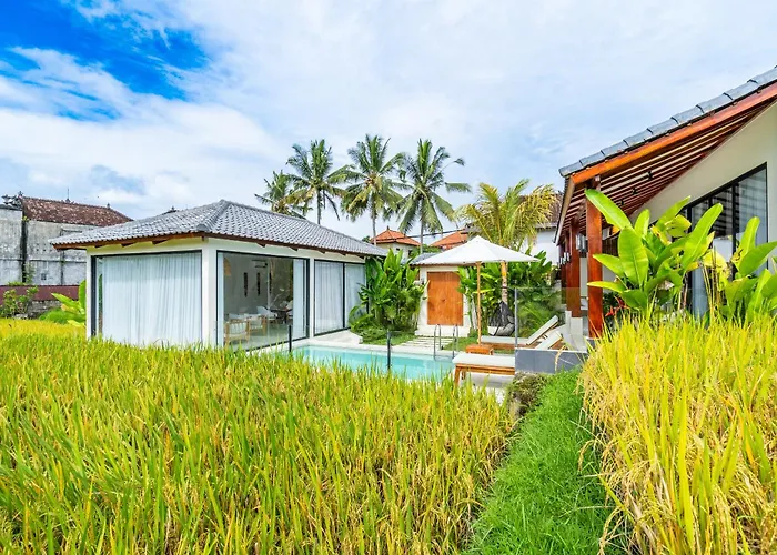 ヴィラ Rice Field