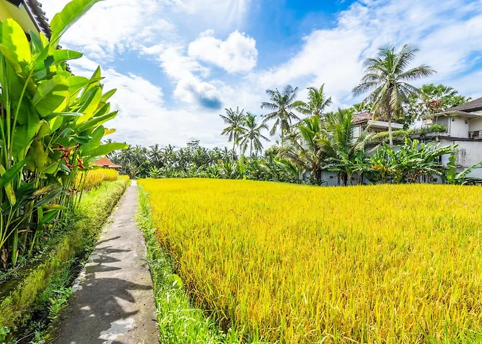 Rice Field ヴィラ ウブド