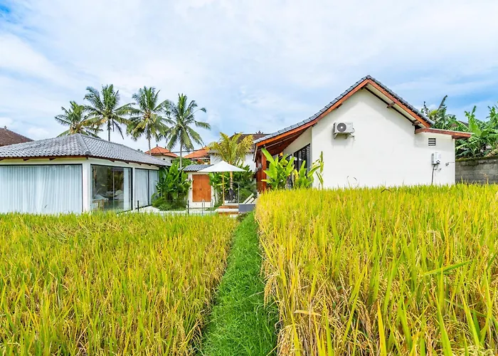 Rice Field ウブド